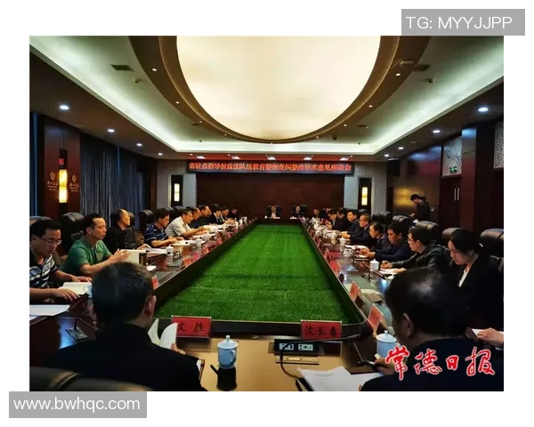 巴西与德国队标的历史渊源与文化象征探讨