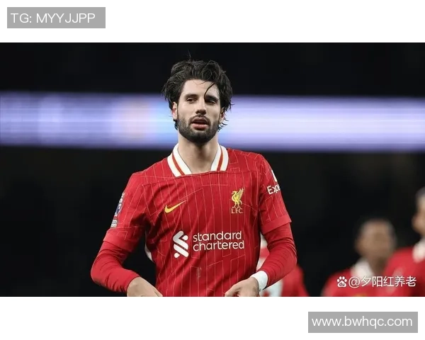 索博斯洛伊的历史渊源与文化传承探秘之旅