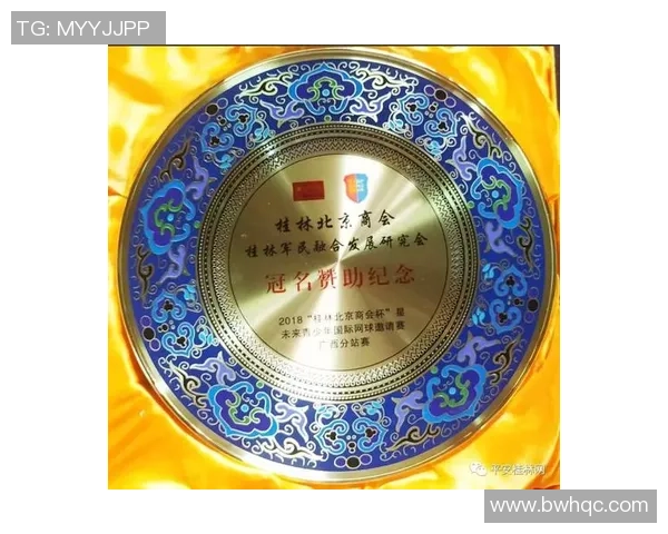 北京网球队实力分析与表现评估探讨及未来发展方向研究MBA 北京网球队实力分析与表现评估探讨及未来发展方向研究MBA