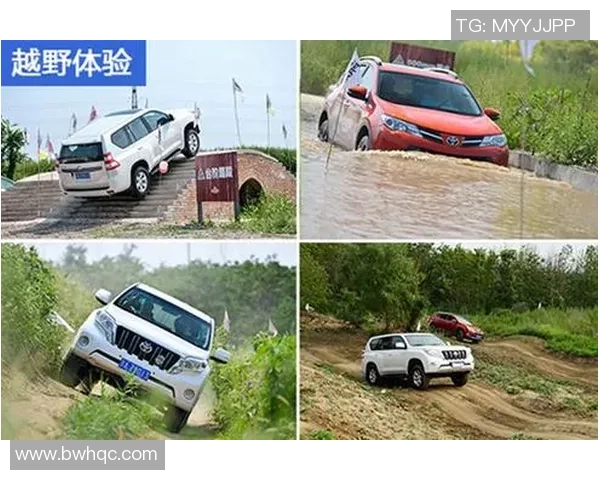 南京极限运动队技术争议引发热议运动员表现与安全问题的深度探讨